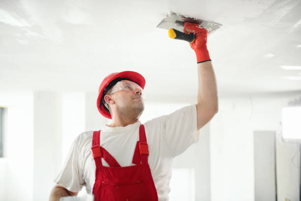 Best Trim and Molding Painting  in Cresco, IA